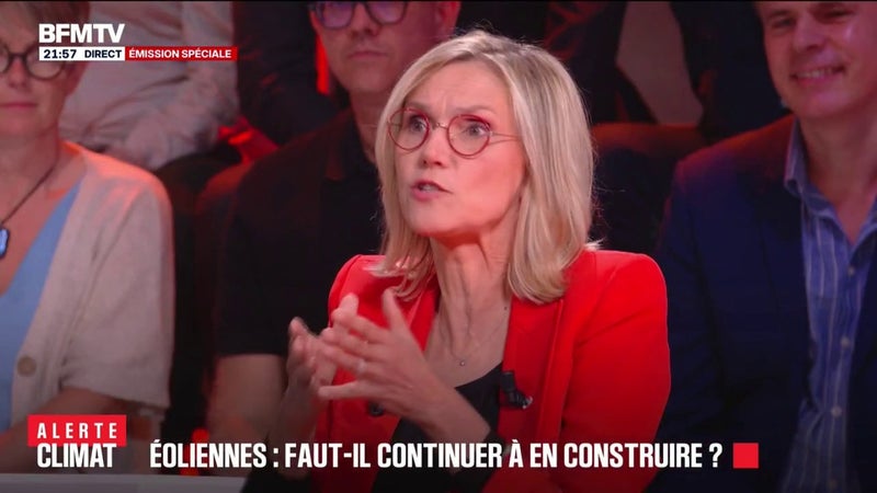 "Le coût complet des énergies renouvelables aujourd'hui est en train de devenir inférieur au coût du nucléaire futur", assure Agnès Pannier-Runacher, soutien de Gabriel Attal