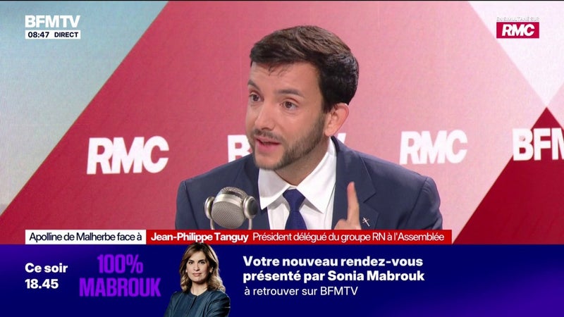 Jean-Philippe Tanguy, député RN, se dit "scandalisé" par la victoire de l'AfD en Saxe-Anhalt: "Ils ont voté pour des gens qui relativisent le passé nazi de l'Allemagne"