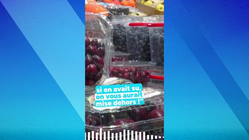 "Si on avait su, on vous aurait mise dehors !"