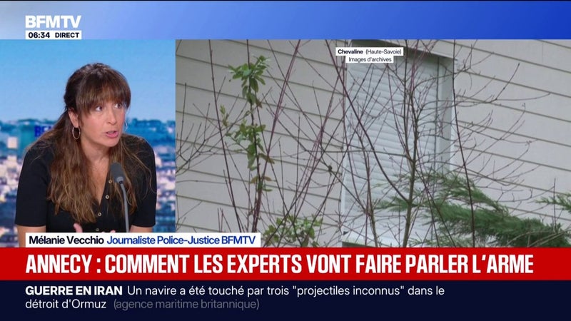 Tuerie de Chevaline: comment les enquêteurs vont-ils analyser l'arme retrouvée dans le lac d'Annecy?