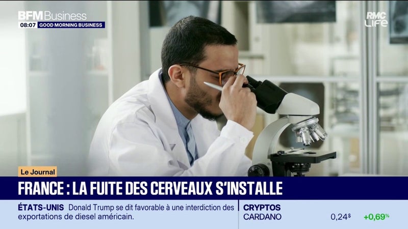 France : la fuite des cerveaux s'installe