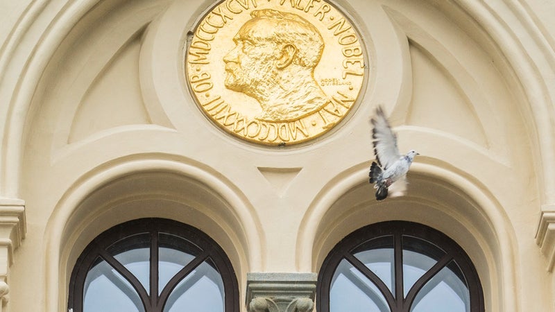 Le prix Nobel de médecine 2026 attribué à deux chercheurs allemands et un américain pour leurs découvertes sur les canaux ioniques activés par la lumière et l'optogénétique