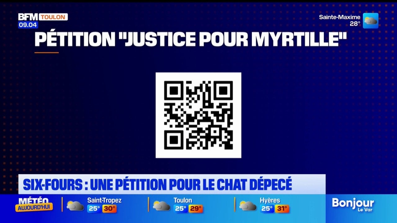 Six-Fours : une pétition pour le chat dépecé et empalé