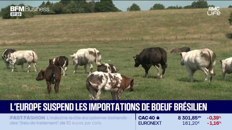 L'UE suspend l'importation de bœuf brésilien