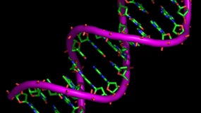 Un test ADN a permis de révéler son enlèvement (image d'illustration)