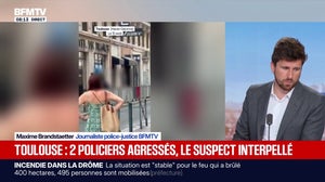 Ce que l'on sait de l'agression de policiers municipaux à Toulouse