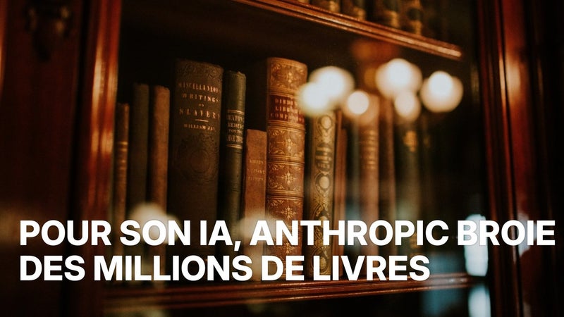 Projet Panama : des livres broyés pour entraîner l'IA