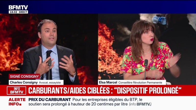 SIGNÉ CONSIGNY - Crise des carburants: "On voit toute la limite du système", affirme Charles Consigny