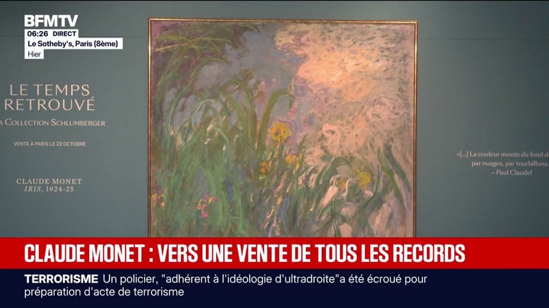 Entre 22 et 30 millions d'euros: vers une vente record pour "Iris", un tableau peint par Claude Monet