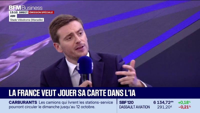 IA : "Arrêtons de penser régulation. Il faut un partenariat public-privé"