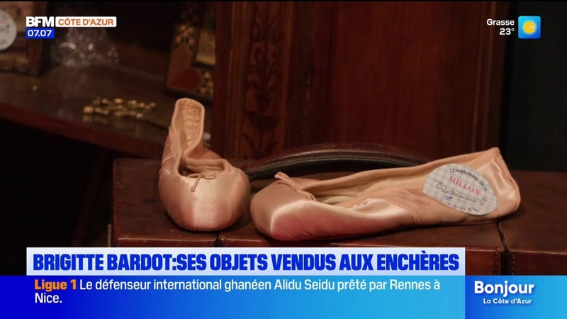 Le dernier mari de Brigitte Bardot s'oppose à la vente aux enchères d'objets intimes de l'actrice