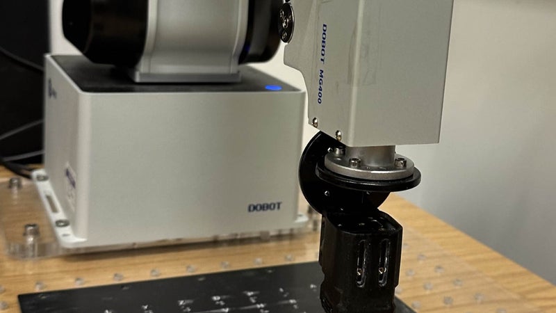 Une avancée majeure vers des ordinateurs biohybrides: des mini-cerveaux de laboratoire sont parvenus à "lire" le braille avec une précision de 83%
