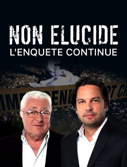 L'AFFAIRE GREGORY VILLEMIN