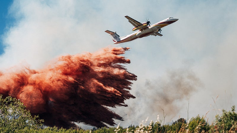 "Un signal du changement climatique": comment expliquer la longueur de cette saison des feux de forêt en France?