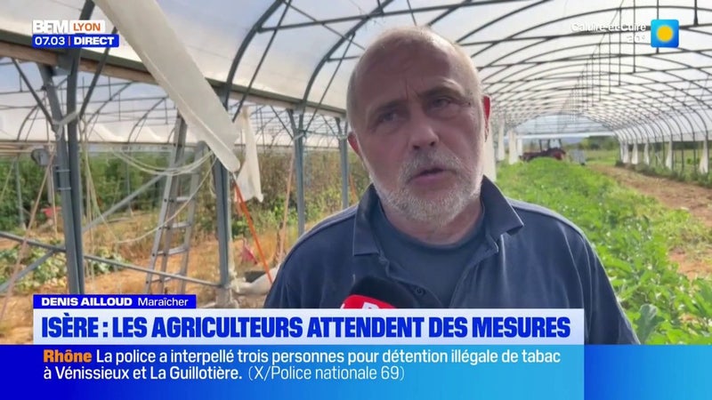 En Isère, les agriculteurs attendent des mesures après un été de sécheresse extrême