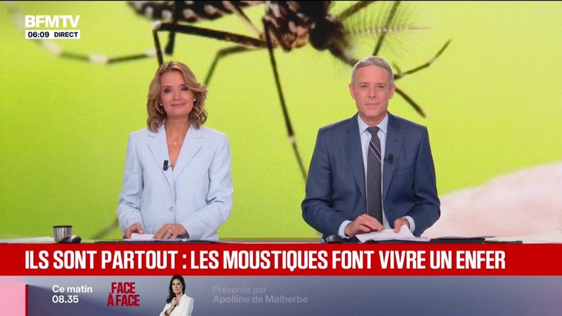 Chaleur: les moustiques sont toujours là