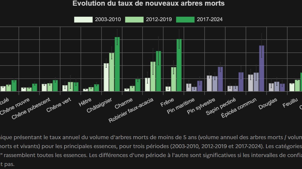 Cartographie des arbres morts dans les forêts de France hexagonale entre 2003 et 2024