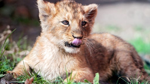 (Photo d'illustration)