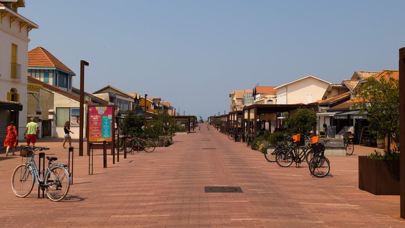 "Il n'y a pas que des zones brûlées!": l'Umih Gironde appelle les touristes à venir, malgré la crainte des incendies