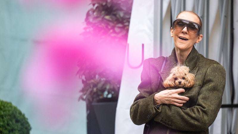 Après sa série de concerts, Céline Dion quitte Paris pour mieux la retrouver