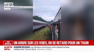 Un train Toulouse-Paris bloqué plusieurs heures en raison d'une chute d'arbre sur les voies