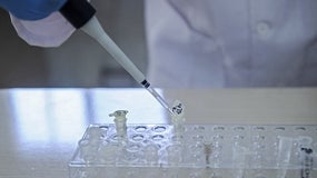 42 ans plus tard, l'ADN a permis de relier un suspect au meurtre d'une fillette de 8 ans (Photo d'illustration)