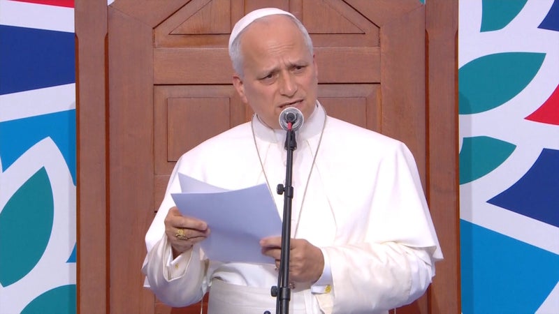 DIRECT. "Ce qui est légal n’est pas nécessairement moral": à Lourdes, le pape  estime "impossible de considérer comme normal de donner la mort"