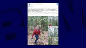 Deux collégiens se sont filmés en train de maltraiter des chatons, dans l'Eure. 