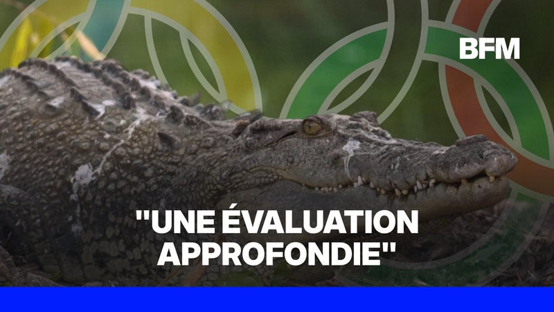 JO 2032: le canoë-kayak et l'aviron sur un fleuve abritant des crocodiles mangeurs d'hommes