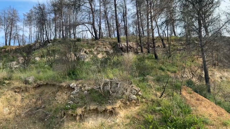 "Un spectacle et une terreur" : un an après, la commune de Ribaute se souvient de l'incendie dans le massif des Corbières