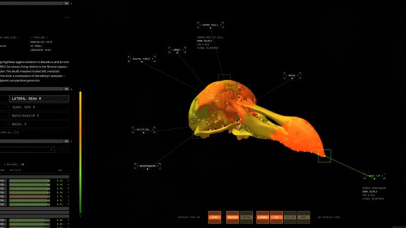 "Une carte au trésor du génome du dodo": grâce à une nouvelle plateforme d'IA, Colossal Biosciences veut faire revivre cet oiseau incapable de voler