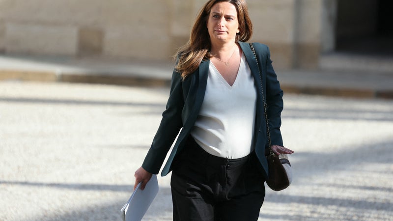 Une "belle nouvelle": la candidate des Écologistes à la présidentielle, Marine Tondelier, annonce avoir accouché d'un petit garçon