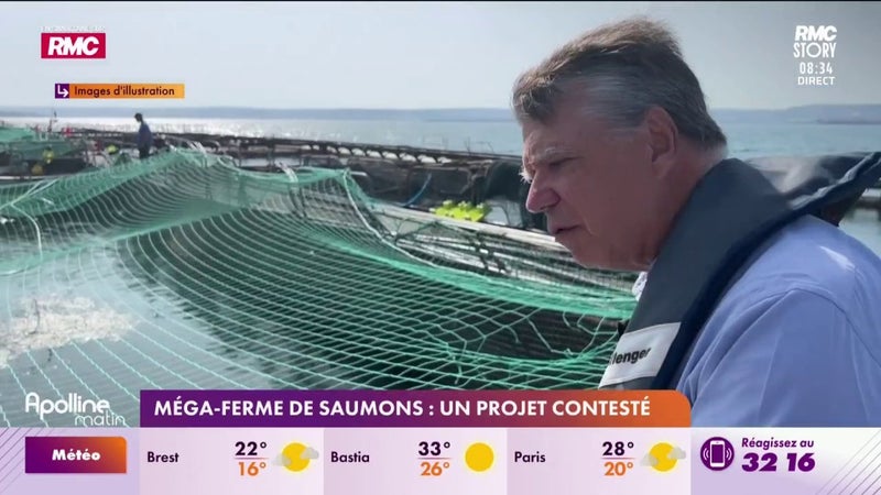 Mega-ferme de saumons : un projet inédit qui divise