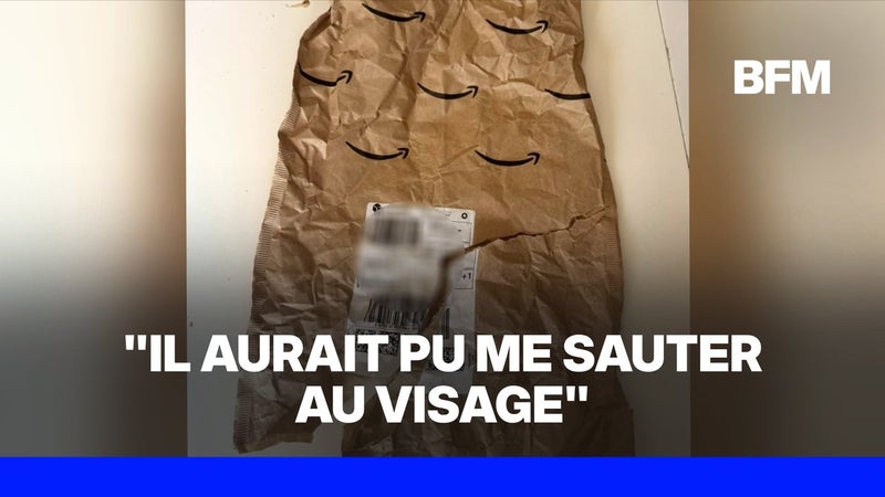 Amazon: il avait commandé un rasoir, il découvre un serpent vivant dans son colis
