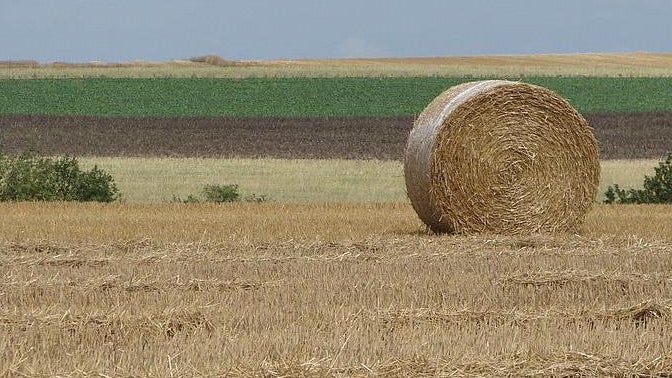 À la veille de l'annonce du plan d'aide aux agriculteurs, le gouvernement le reporte au vu des 