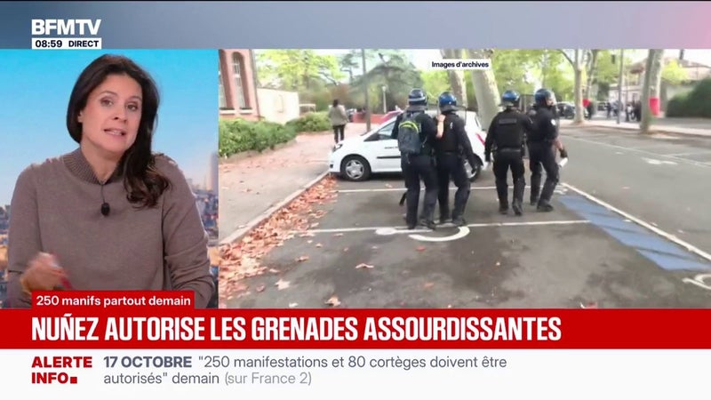 Laurent Nuñez a annoncé que les grenades assourdissantes, interdites dans le cadre du mouvement lycéen, pourront être utilisées en cas de "violences urbaines"