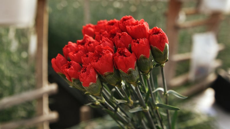 Il tue sa femme et sa fille le jour de la Saint-Valentin (image d'illustration)