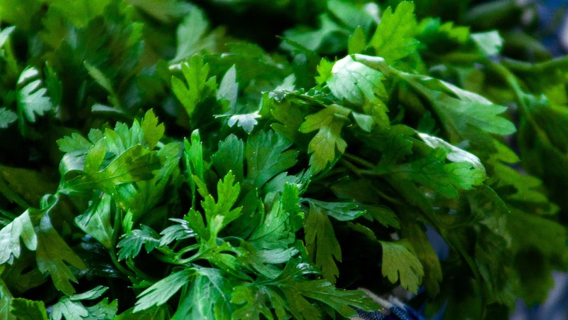 Ce sachet d'herbes aromatiques Picard est contaminé à E.coli et peut vous provoquer des diarrhées sanglantes