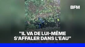 Policier agressé à Belfort: "Pas de tentative de noyade" d'un auteur présumé, explique le procureur de la République