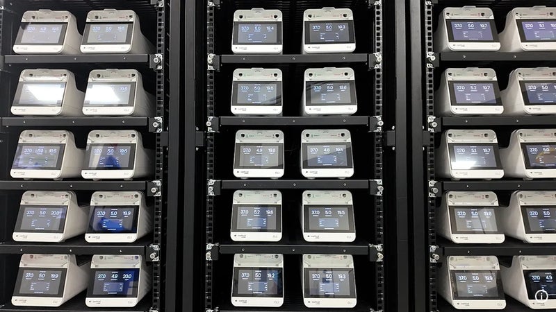 Elle veut concevoir les centres de données de demain: une société australienne mélange puces électroniques et neurones humains, à un stade encore très expérimental