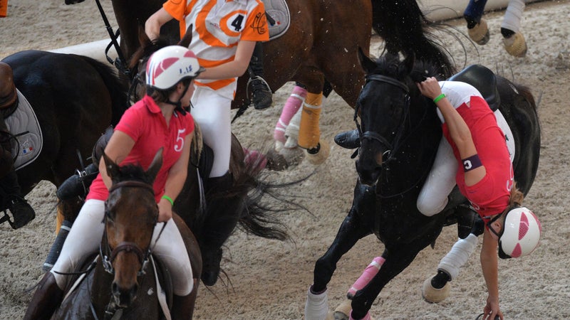 "Un hommage lui sera rendu": une cavalière meurt au concours hippique des 5 Étoiles de Pau