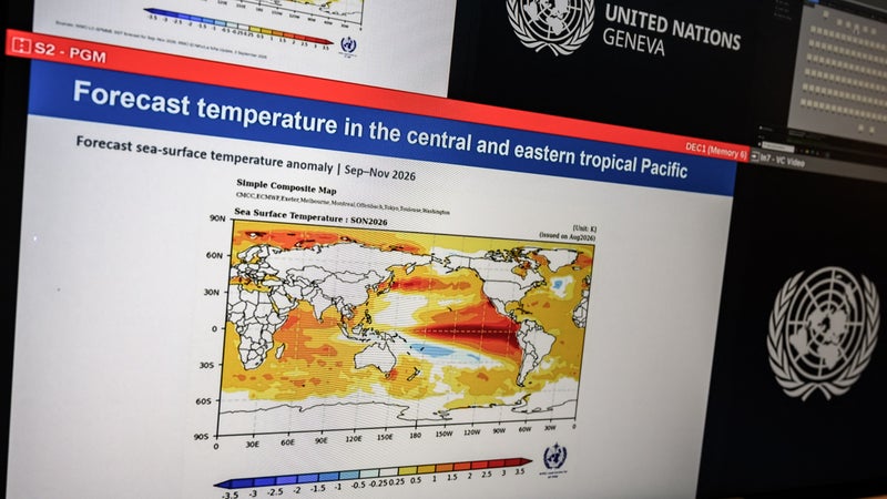 "On observe déjà des conséquences": le retour du phénomène El Niño va-t-il bouleverser encore plus notre climat?