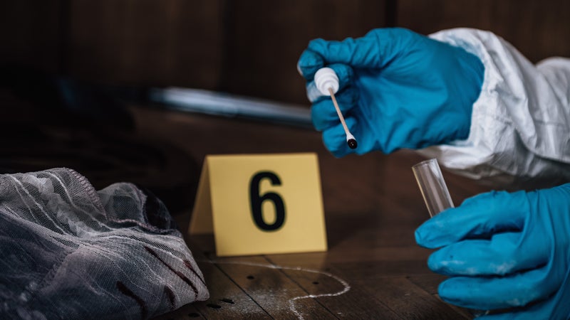 Enquête, les premières 48 heures (saison 6)