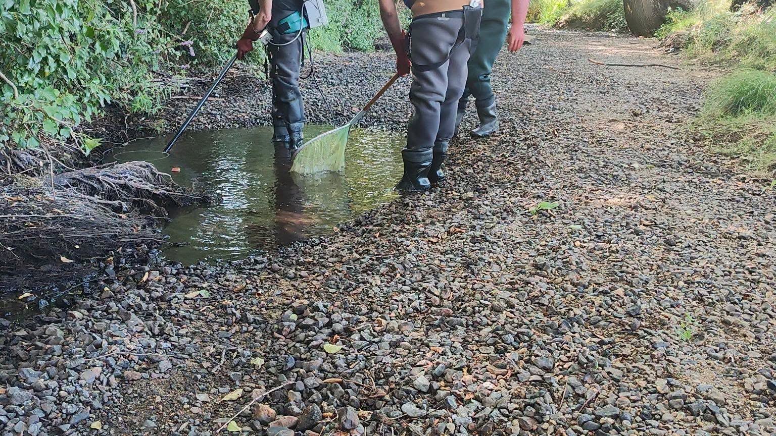 Une pêche de sauvetage dans la Sarthe Une pêche de sauvetage dans la Sarthe