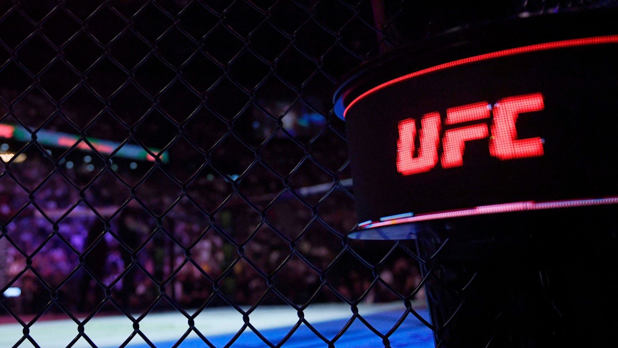 https://io-fsly-bfmtv.cdn.nextradiotv.com/VrYS_rDgi2GfPVXU4becqavVwu0=/0x191:2048x1343/images/La-cage-lors-du-premier-UFC-Paris-1643608.jpg