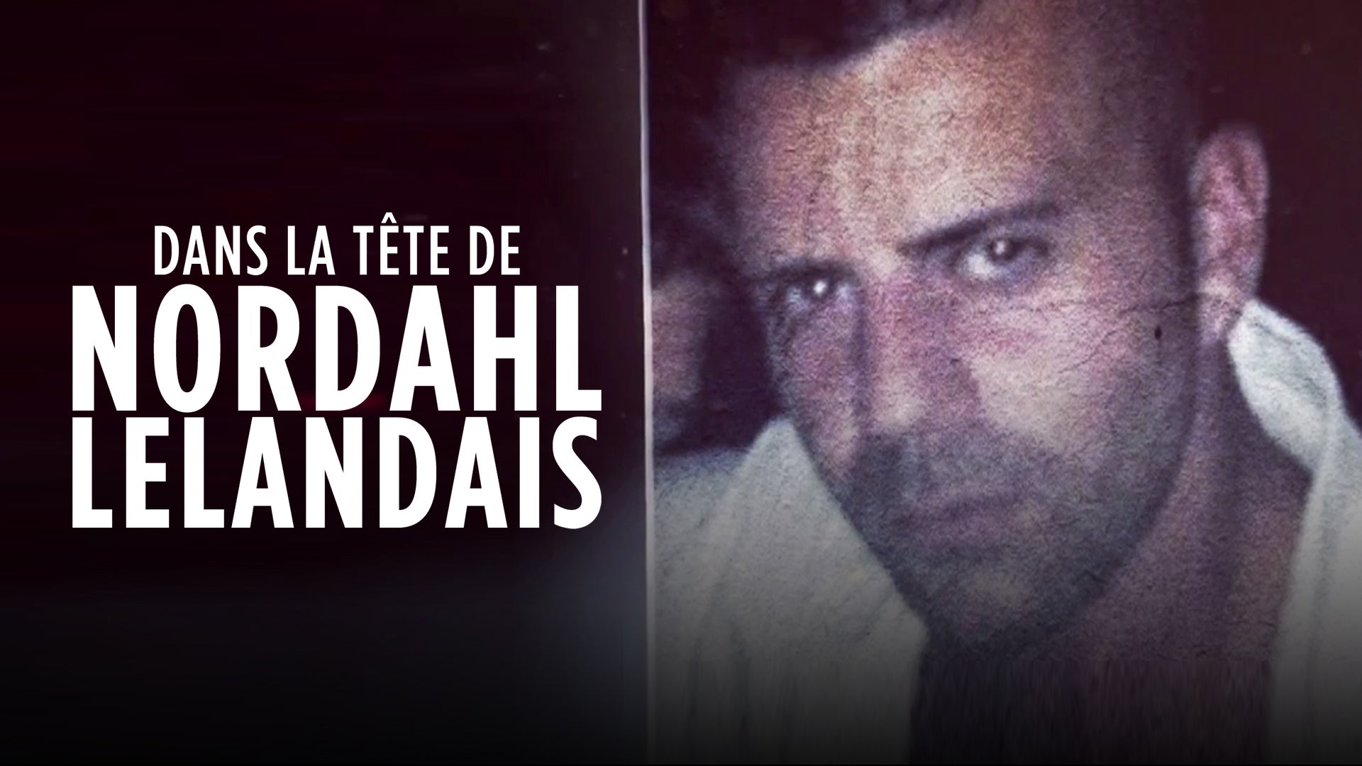 DANS LA TËTE DE NORDAHL LELANDAIS