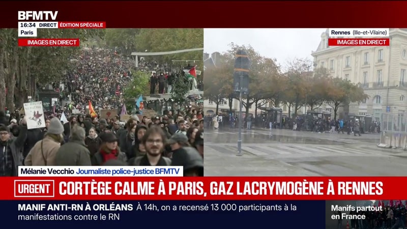 24 octobre: 10.000 personnes sont réunies à Lyon ce samedi selon les derniers chiffres de la préfecture