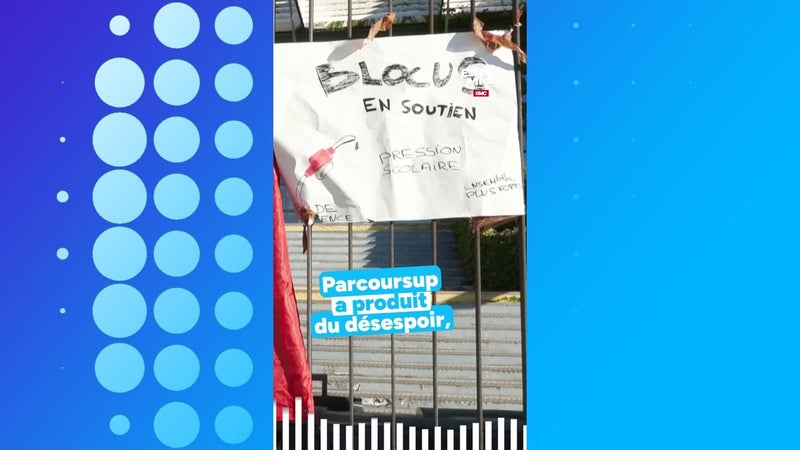 "Parcoursup a produit du désespoir, c'est une usine à désespoir !"