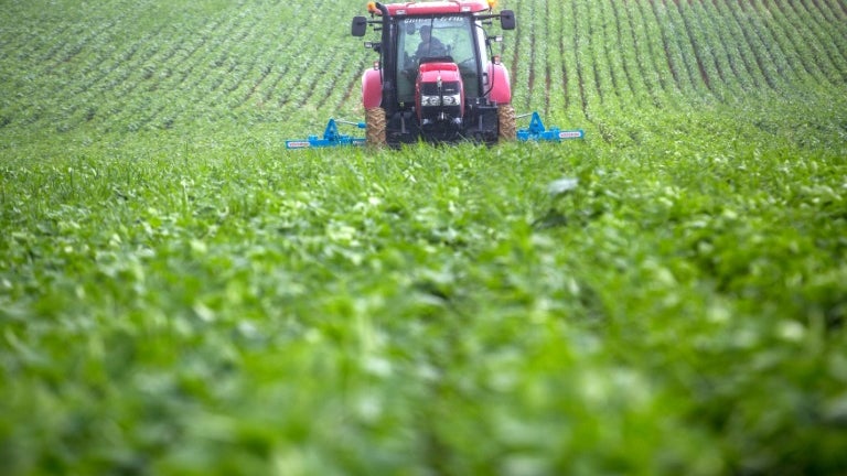 Envoyer un "signal" au gouvernement: en commission des Finances, les députés votent 800 millions d'euros de hausse du budget du ministère de l'Agriculture