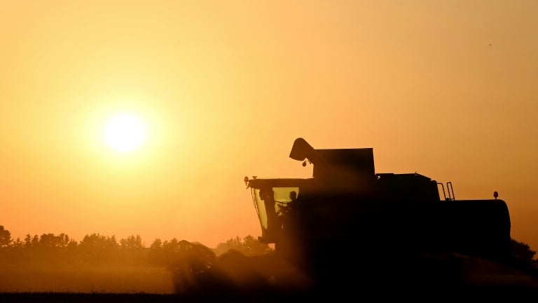 La balance commerciale agricole en "léger rebond" par rapport à l'an dernier mais la croissance des exportations "reste insuffisante"